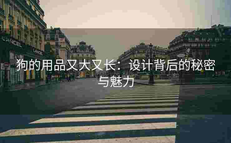 狗的用品又大又长：设计背后的秘密与魅力