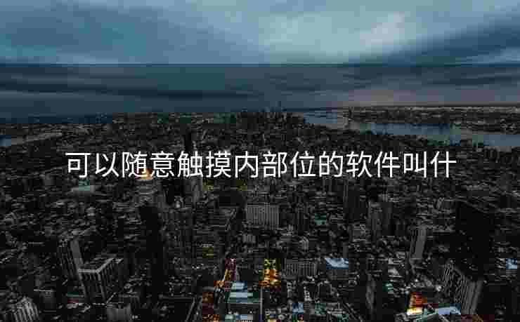 可以随意触摸内部位的软件叫什