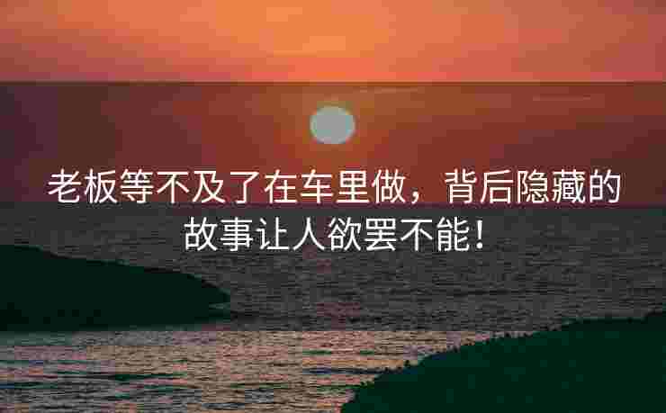 老板等不及了在车里做，背后隐藏的故事让人欲罢不能！