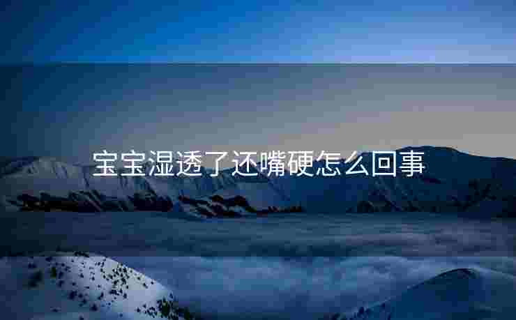 宝宝湿透了还嘴硬怎么回事
