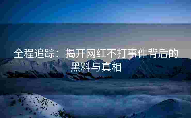 全程追踪：揭开网红不打事件背后的黑料与真相