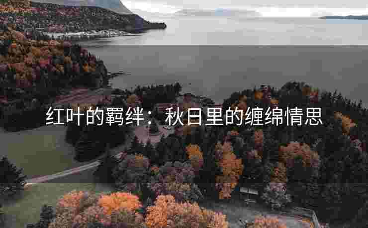 红叶的羁绊：秋日里的缠绵情思