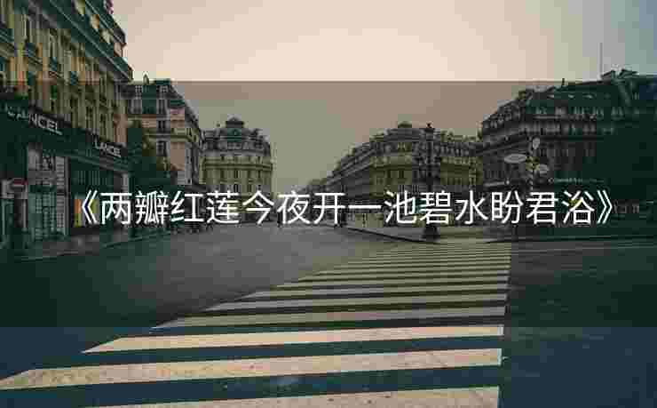 《两瓣红莲今夜开一池碧水盼君浴》
